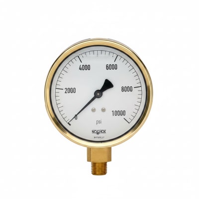 NOSHOK 25-300-1000-PSI/KG/CM2-SST-BFF-BT8-CC