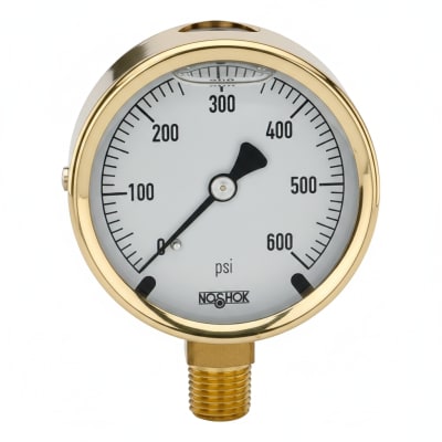 NOSHOK 25-300-1500-PSI-SST-BFF-BT8-CC