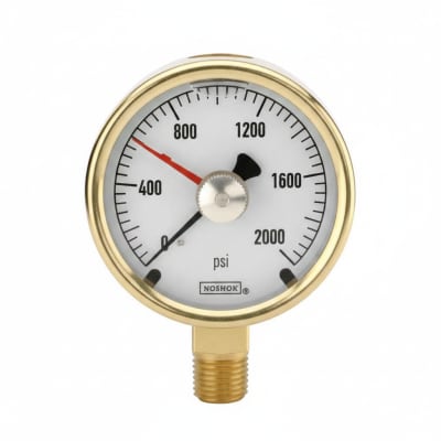 NOSHOK 25-300-1000-PSI/KG/CM2-SST-CFF