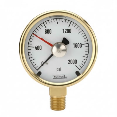 NOSHOK 25-300-1000-PSI/BAR-SST-BFF-CC