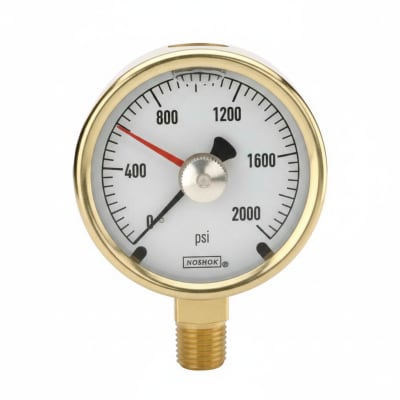 NOSHOK 25-300-1000-PSI/KG/CM2-SST-CFF-BT8