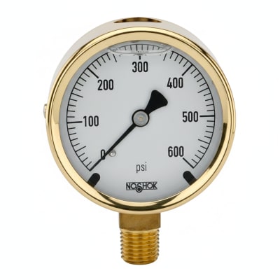NOSHOK 25-300-1500-PSI-SST-CFF-BT8-CC