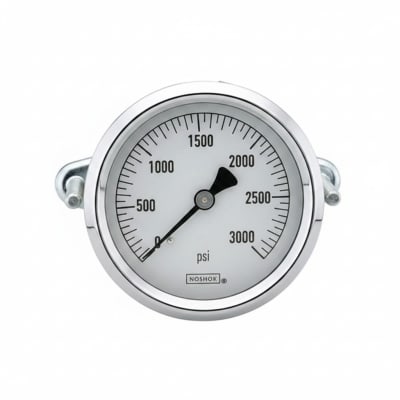 NOSHOK 25-300-1000-PSI/KG/CM2-SST-BFF