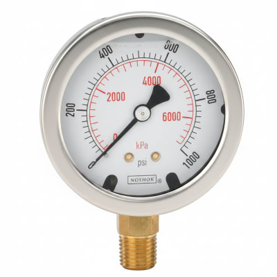 NOSHOK 25-300-200-PSI-SST-CFF-BT8