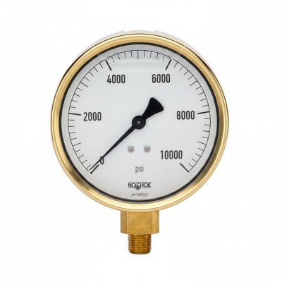 NOSHOK 25-300-1000-PSI/KPA-SST-CFF-BT8