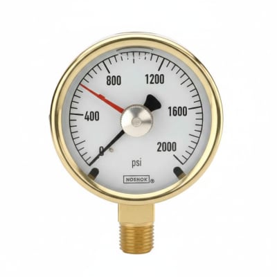 NOSHOK 25-300-1000-PSI/BAR-SST-BFF-BT8-CC