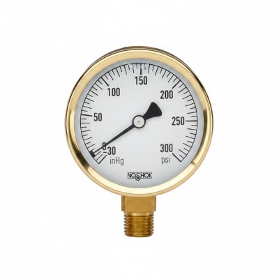 NOSHOK 25-300-1500-PSI/KPA-SST-CFF