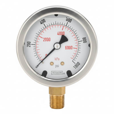 NOSHOK 25-300-2000-PSI-SGO