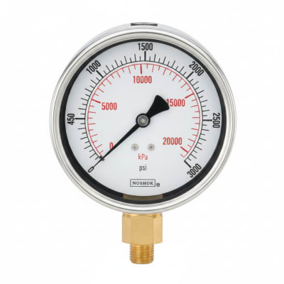 NOSHOK 25-300-2000-PSI-SGO-GY40