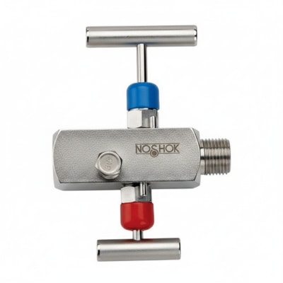 NOSHOK 25-300-200-PSI/KG/CM2-SST-BFF-CC