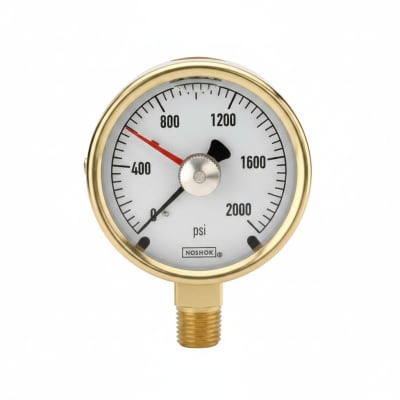 NOSHOK 25-300-200-PSI/KG/CM2-SST-BFF-BT8-CC