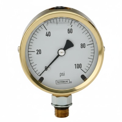 NOSHOK 25-300-2000-PSI-SST-BFF