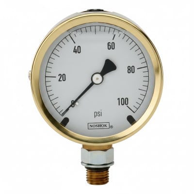 NOSHOK 25-300-2000-PSI-SST-BFF-CC