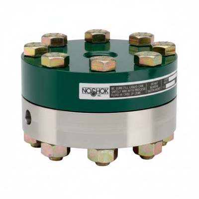 NOSHOK 25-300-300-PSI-SST-CFF