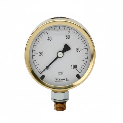 NOSHOK 25-300-30-VAC-SST-BFF-CC