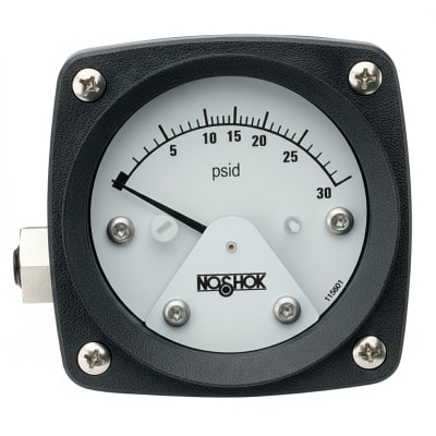 NOSHOK 25-300-30-VAC/KG/CM2-SST-BFF-BT8