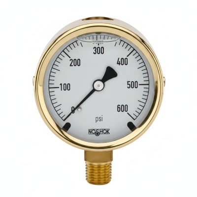 NOSHOK 25-300-2000-PSI-GLO