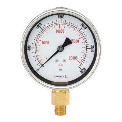 NOSHOK 25-300-300-PSI/KPA-SST-BFF