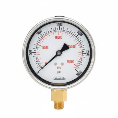 NOSHOK 25-300-300-PSI/KG/CM2-SST-BFF-CC