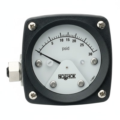 NOSHOK 25-300-400-PSI/BAR-SST-CFF-CC