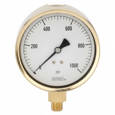 NOSHOK 25-300-30-VAC/KG/CM2-SST-BFF