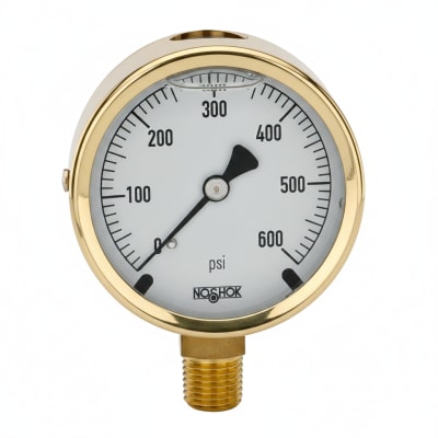 NOSHOK 25-300-30-VAC-SST-BFF