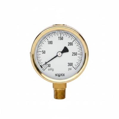 NOSHOK 25-300-30-VAC/KPA-SST-BFF-BT8
