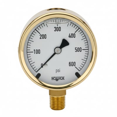 NOSHOK 25-300-30-VAC-SST-CFF-BT8-CC