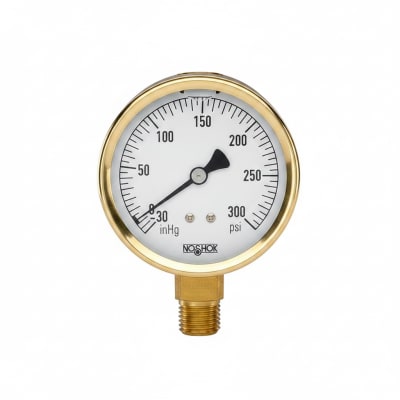 NOSHOK 25-300-400-PSI/BAR-SST-BFF-BT8
