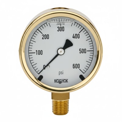 NOSHOK 25-300-2000-PSI-SST-CFF-CC