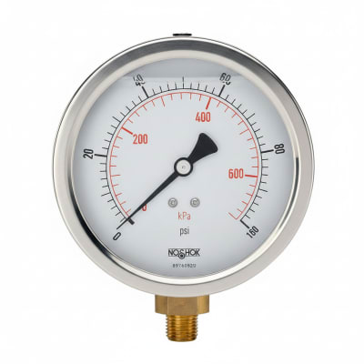 NOSHOK 25-300-600-PSI/BAR-SST-CFF-BT8