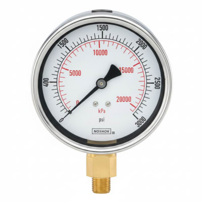 NOSHOK 25-300-300-PSI/KG/CM2-SST-BFF-BT8
