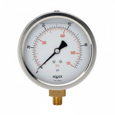 NOSHOK 25-300-600-PSI/BAR-SST-CFF