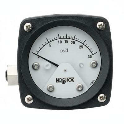 NOSHOK 25-300-800-PSI-BFF-MIP
