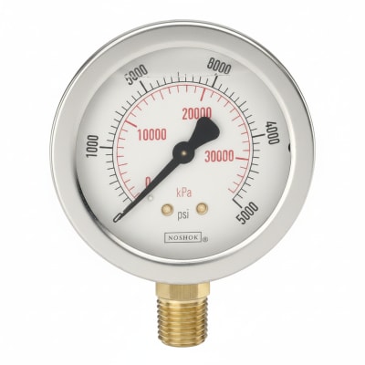 NOSHOK 25-300-300-PSI/KG/CM2-SST-CFF-BT8-CC