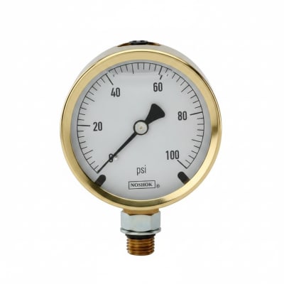 NOSHOK 25-300-600-PSI-SST-BFF-BT8-CC