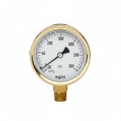 NOSHOK 25-300-800-PSI-BFF-MIP-CC