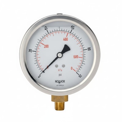 NOSHOK 25-300-600-PSI/BAR-SST-CFF-BT8-CC