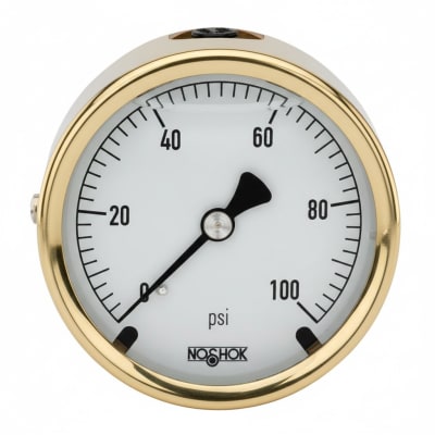 NOSHOK 25-310-100-PSI-SST-MIP-BT8-CC