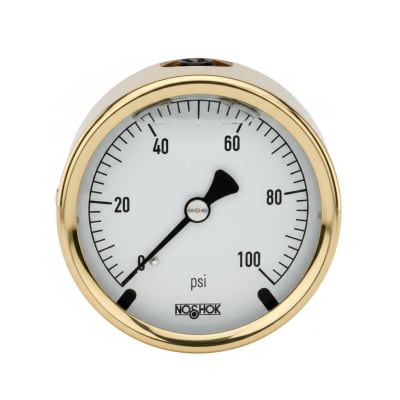 NOSHOK 25-310-100-PSI-SST-MIP-CFF-BT8