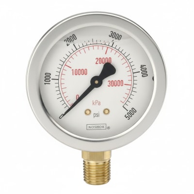 NOSHOK 25-300-800-PSI-CFF-MIP