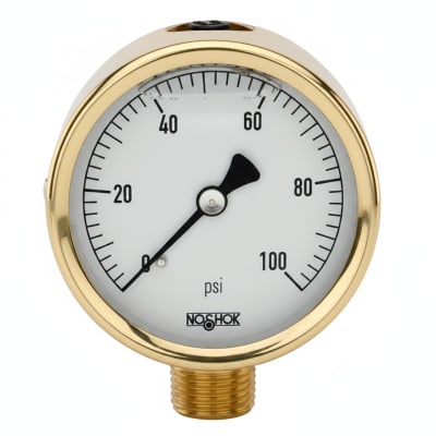 NOSHOK 25-300-600-PSI/BAR-SST-BFF-CC