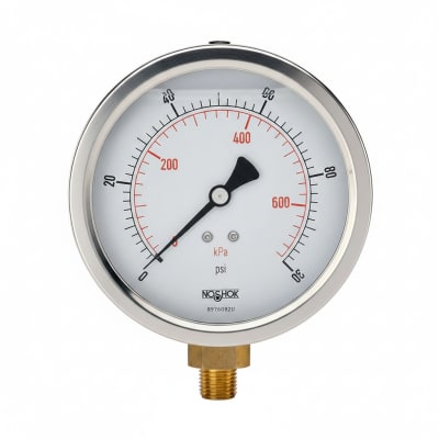 NOSHOK 25-300-600-PSI/KPA-SST-BFF-CC