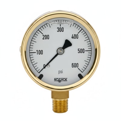 NOSHOK 25-300-30-VAC-SST-CFF-CC