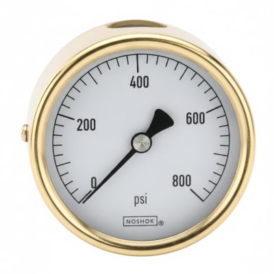 NOSHOK 25-310-100-PSI-SST-CFF-BT8