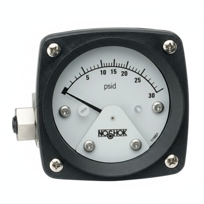 NOSHOK 25-300-60-PSI/KPA-SST-BFF-BT8