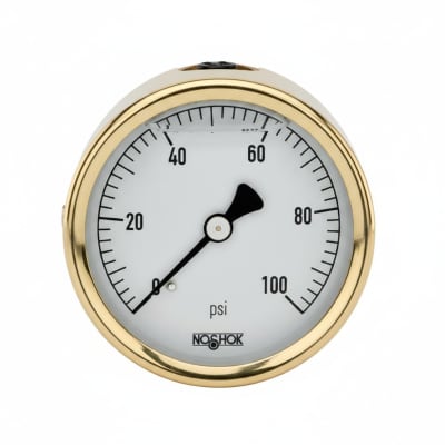 NOSHOK 25-310-100-PSI-SST-MIP-CFF-BT8-CC