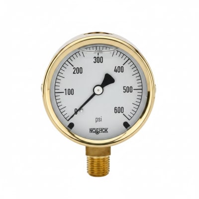 NOSHOK 25-300-800-PSI-BFF-MIP-BT8-CC