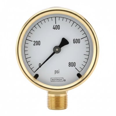 NOSHOK 25-310-100-PSI-SST-MIP-BT8