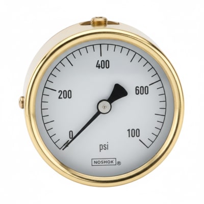 NOSHOK 25-310-100-PSI-SST-MIP-BFF-BT8-CC